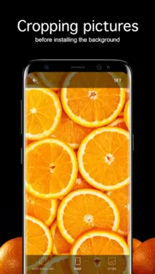 Orange Wallpapers 4K android App screenshot 2