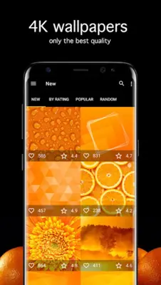 Orange Wallpapers 4K android App screenshot 4